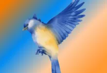 bluebird spiritual meaning