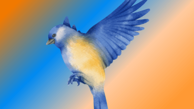 bluebird spiritual meaning